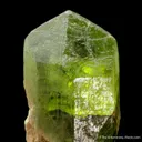 Forsterite var. Peridot - image 1