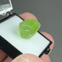 Forsterite var. Peridot - image 2