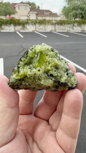 specimen video
