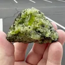 specimen video