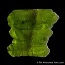 Forsterite var. Peridot (Faden) - image 5