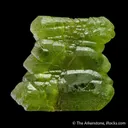 Forsterite var. Peridot (Faden) - image 6