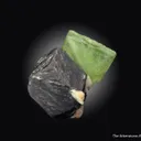 Forsterite var. Peridot on Magnetite - image 1