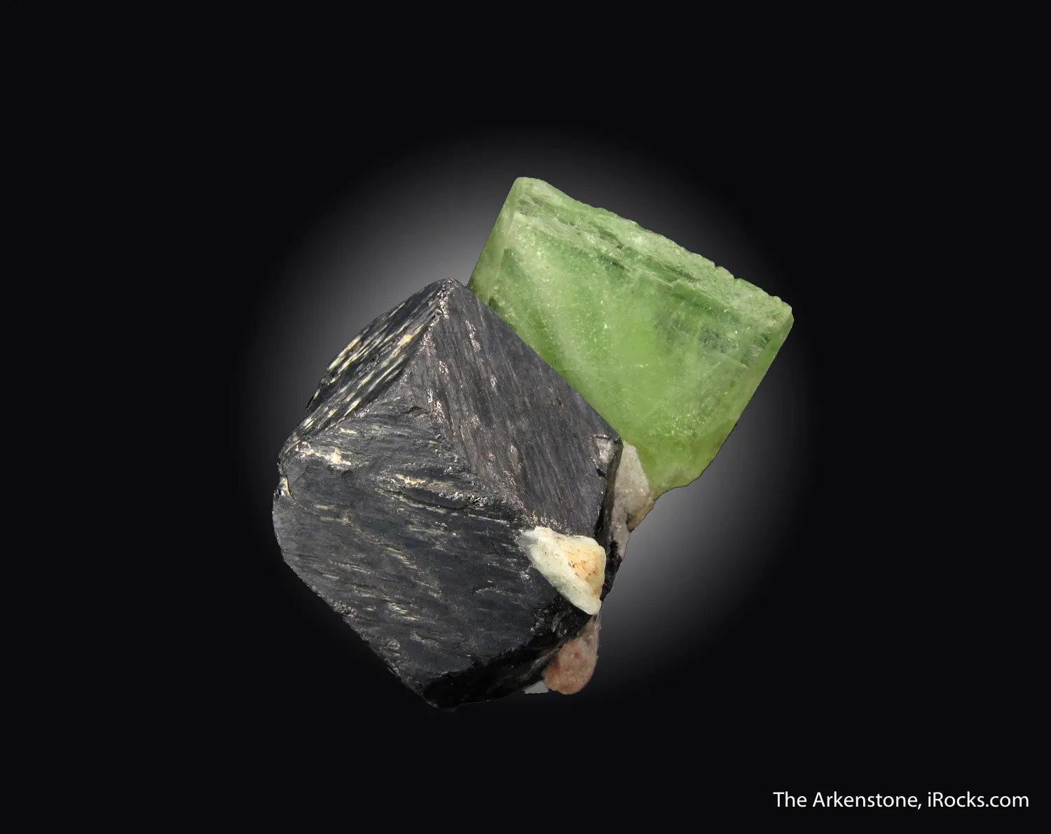 Forsterite var. Peridot on Magnetite - image 1