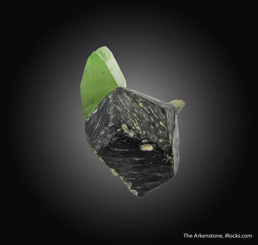 Forsterite var. Peridot on Magnetite - image 3