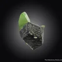 Forsterite var. Peridot on Magnetite - image 3