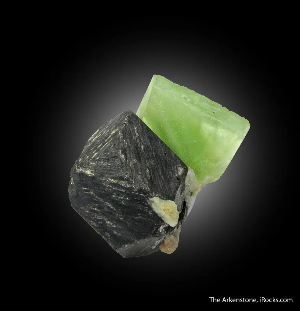 Forsterite var. Peridot on Magnetite - image 4