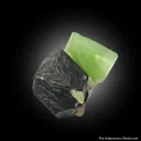 Forsterite var. Peridot on Magnetite - image 4