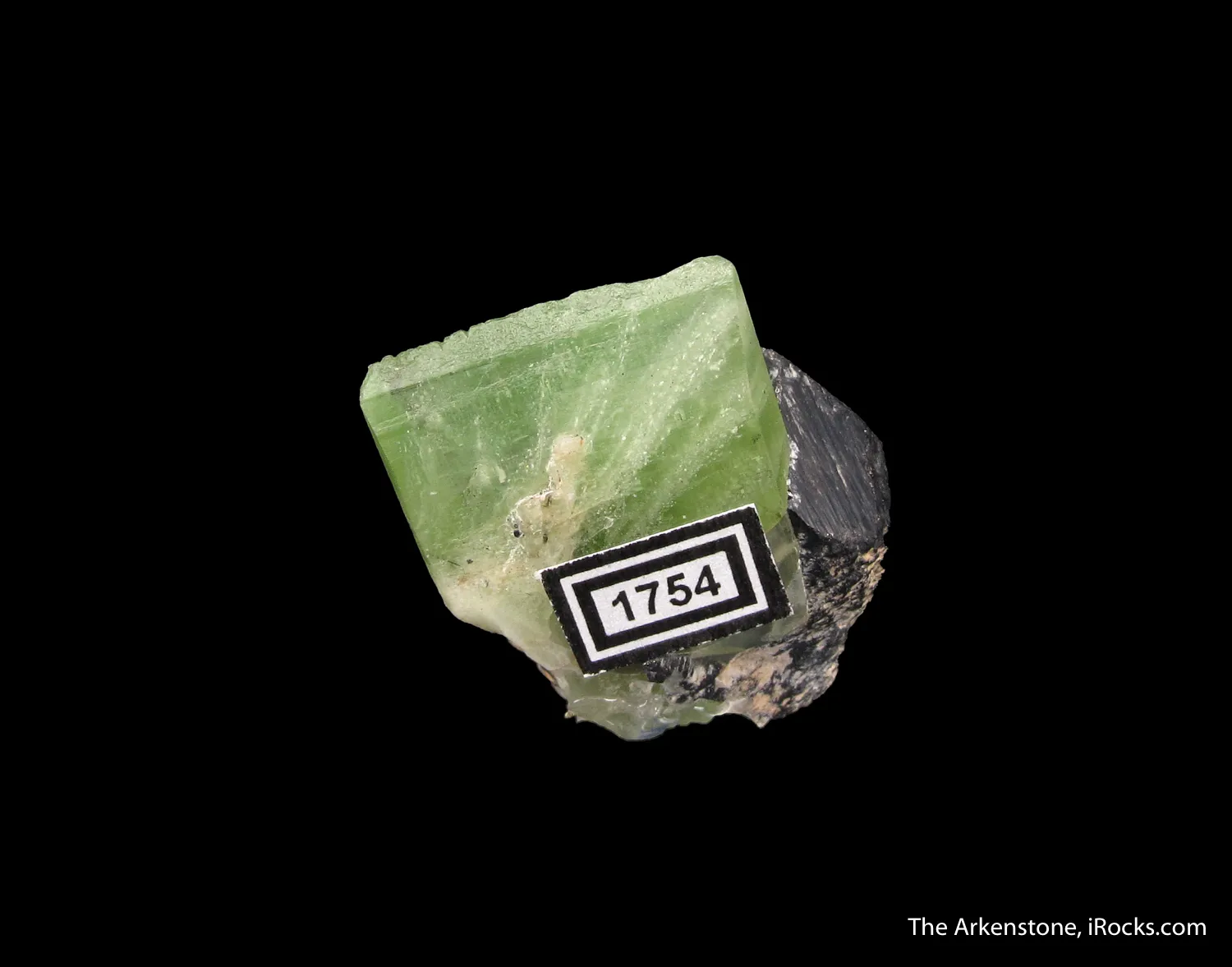 Forsterite var. Peridot on Magnetite - image 5