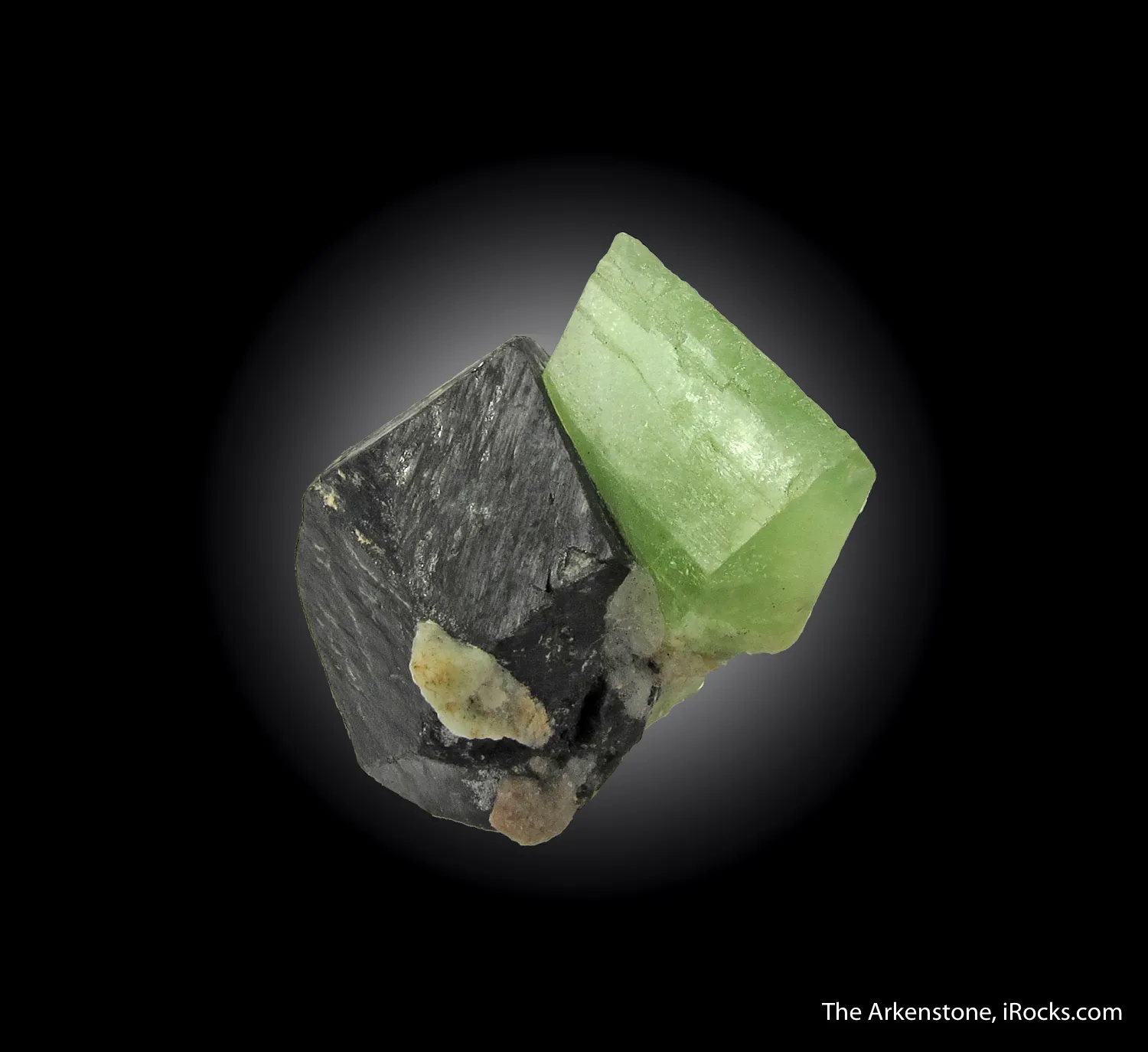 Forsterite var. Peridot on Magnetite - image 2