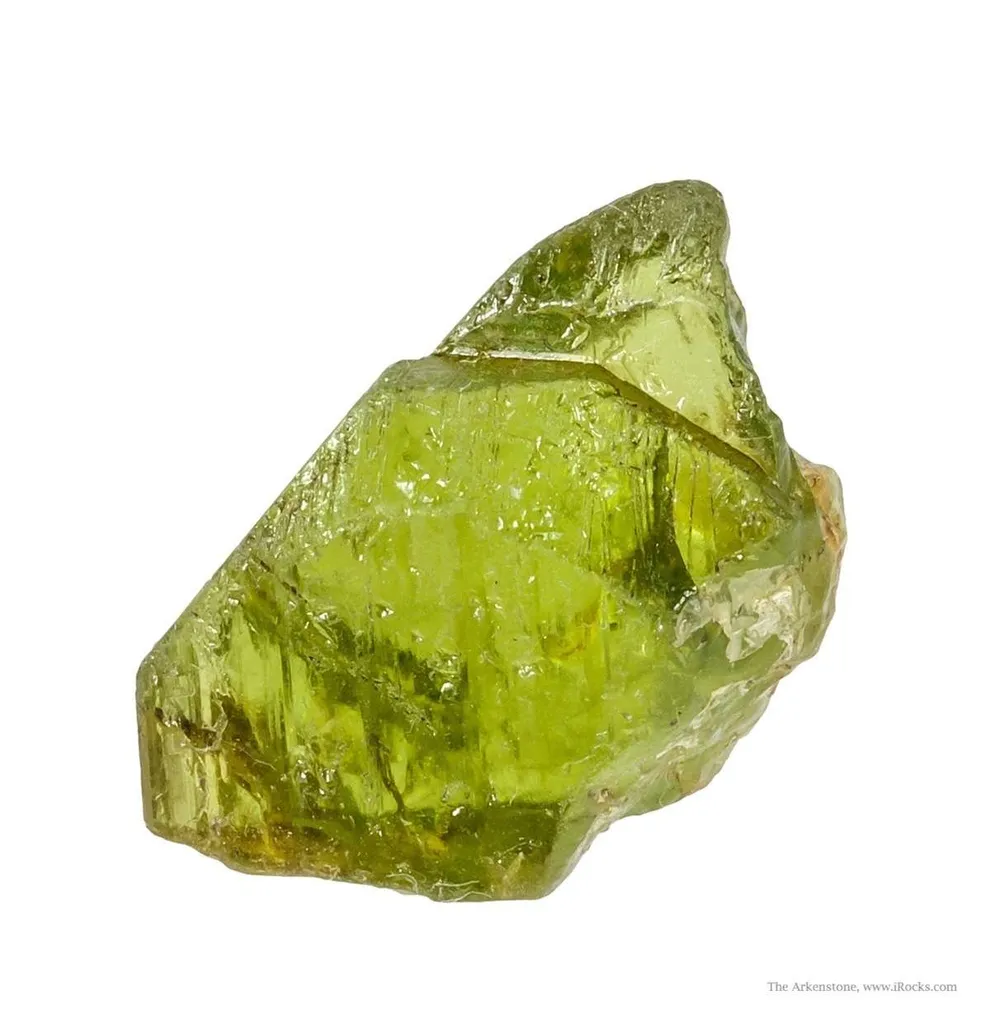 Forsterite Var. Peridot (Rough & Cut Set) - image 4