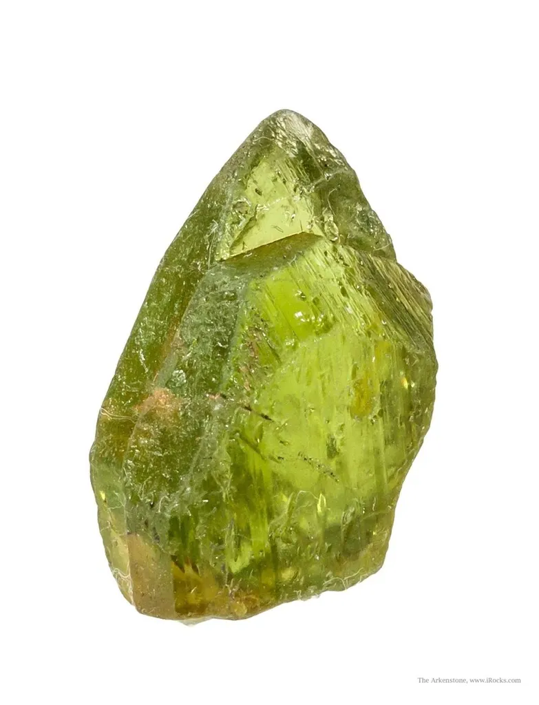 Forsterite Var. Peridot (Rough & Cut Set) - image 3