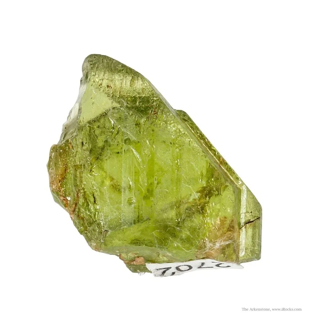 Forsterite Var. Peridot (Rough & Cut Set) - image 5