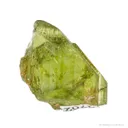 Forsterite Var. Peridot (Rough & Cut Set) - image 5