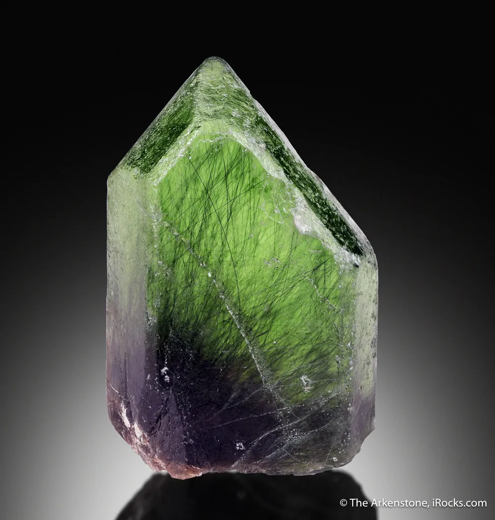 Forsterite var. Peridot with Ludwigite inclusions image