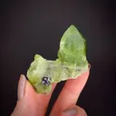 Forsterite var. Peridot with Magnetite - image 1