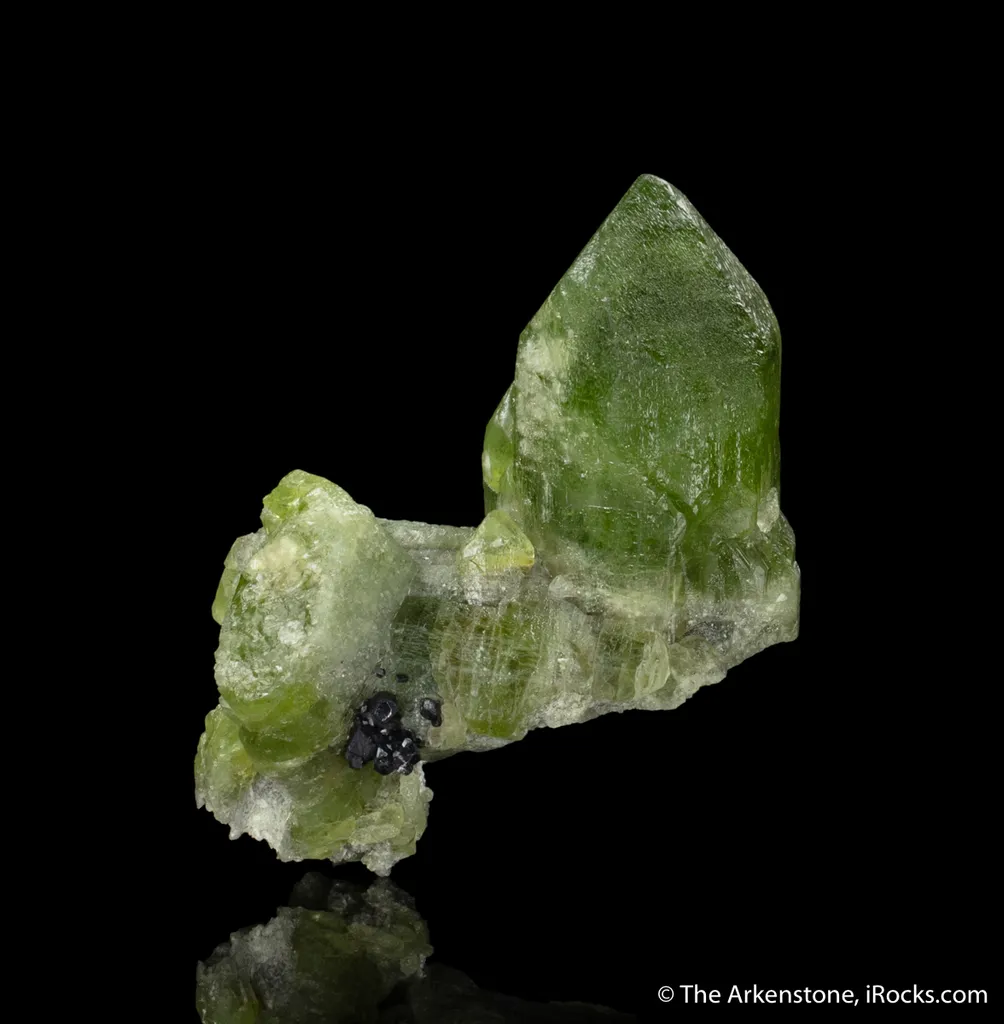 Forsterite var. Peridot with Magnetite - image 3