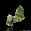 Forsterite var. Peridot with Magnetite - image 3