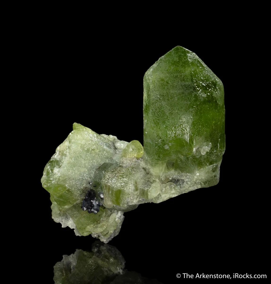 Forsterite var. Peridot with Magnetite - image 4