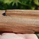 Fossil wood 1200 grams - Timimoun, Timimoun District, Timimoun Province, Algeria - image 5