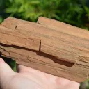 Fossil wood 1200 grams - Timimoun, Timimoun District, Timimoun Province, Algeria - image 3