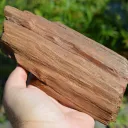 Fossil wood 1200 grams - Timimoun, Timimoun District, Timimoun Province, Algeria - image 1