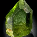 Fosterite var. Peridot with Ludwigite inclusions - image 1