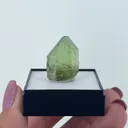 Fosterite var. Peridot with Ludwigite inclusions - image 2