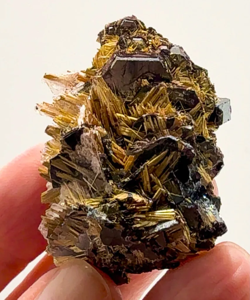 FOUR BRAZILIAN Rutile BEAUTIES image