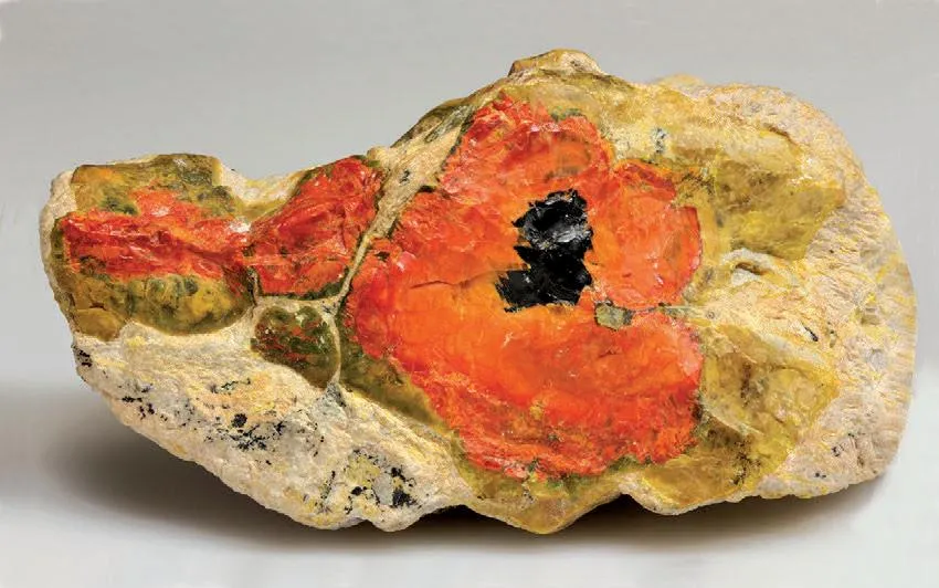 Fourmarierite, Uraninite, Uranophane image