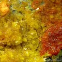 Fourmarierite With Becquerelite on Uraninite - image 1