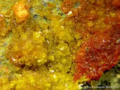 Fourmarierite With Becquerelite on Uraninite - image 1