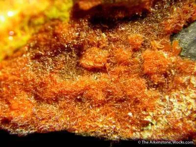 Fourmarierite With Becquerelite on Uraninite - image 2