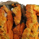 Francevillite and Chervetite With Curienite - image 4