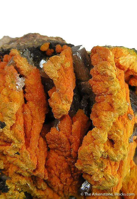 Francevillite and Chervetite With Curienite - image 4