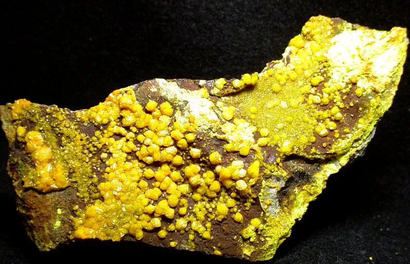 Francevillite, Mounanaite, Curienite image