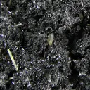 Franckeite - image 1