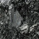 Franckeite (Var: Potosiite) - image 2