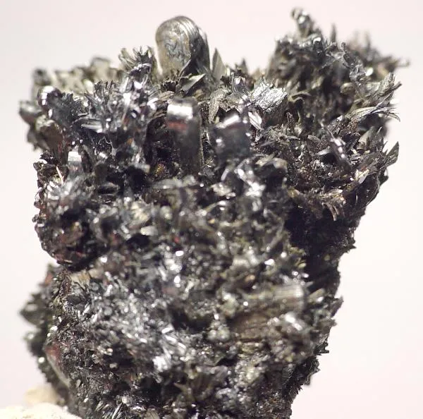 Franckeite (Var: Potosiite), Franckeite - image 1