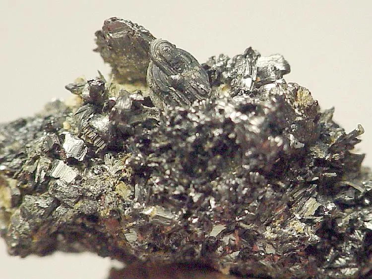Franckeite (Var: Potosiite), Franckeite image