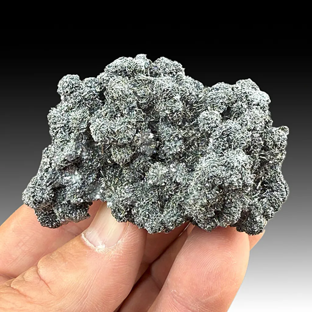 Franckeite with Zinkenite, Stannite image