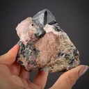 Franklinite (TL) with Willemite, Calcite - image 1