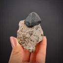 Franklinite (unusual crystal habit) - image 2