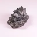 specimen video
