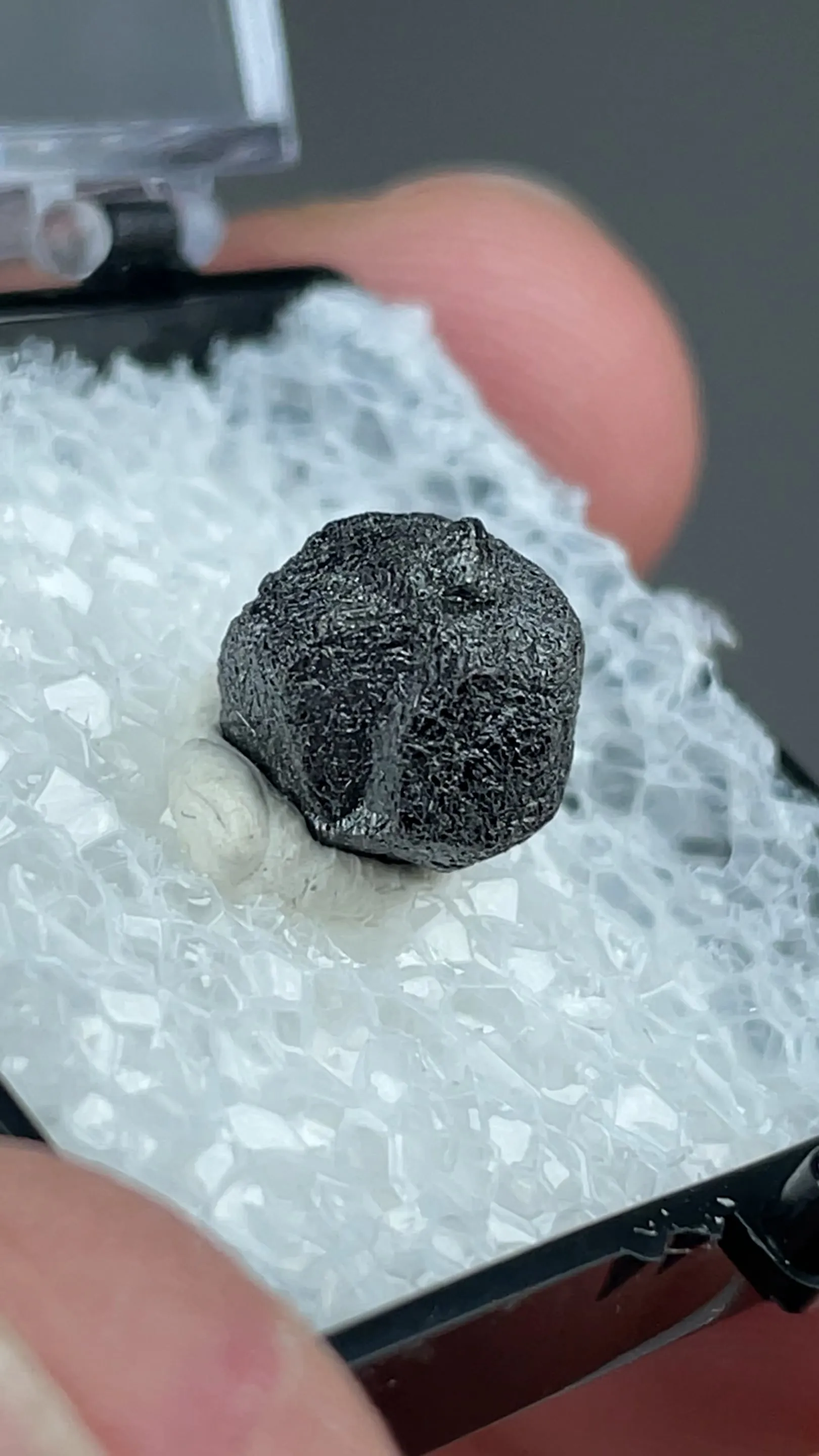 Freibergite on Sphalerite - image 2