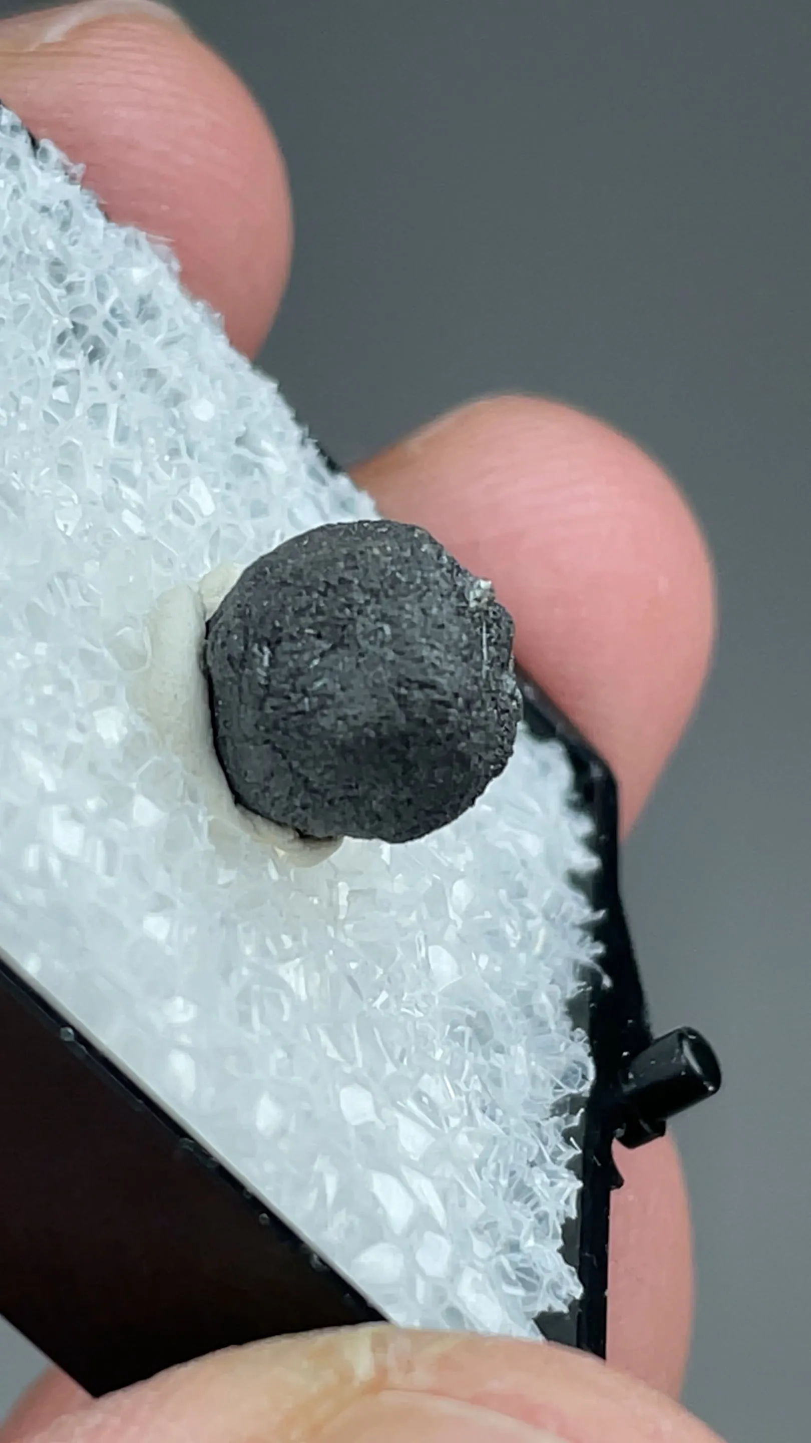 Freibergite on Sphalerite - image 2