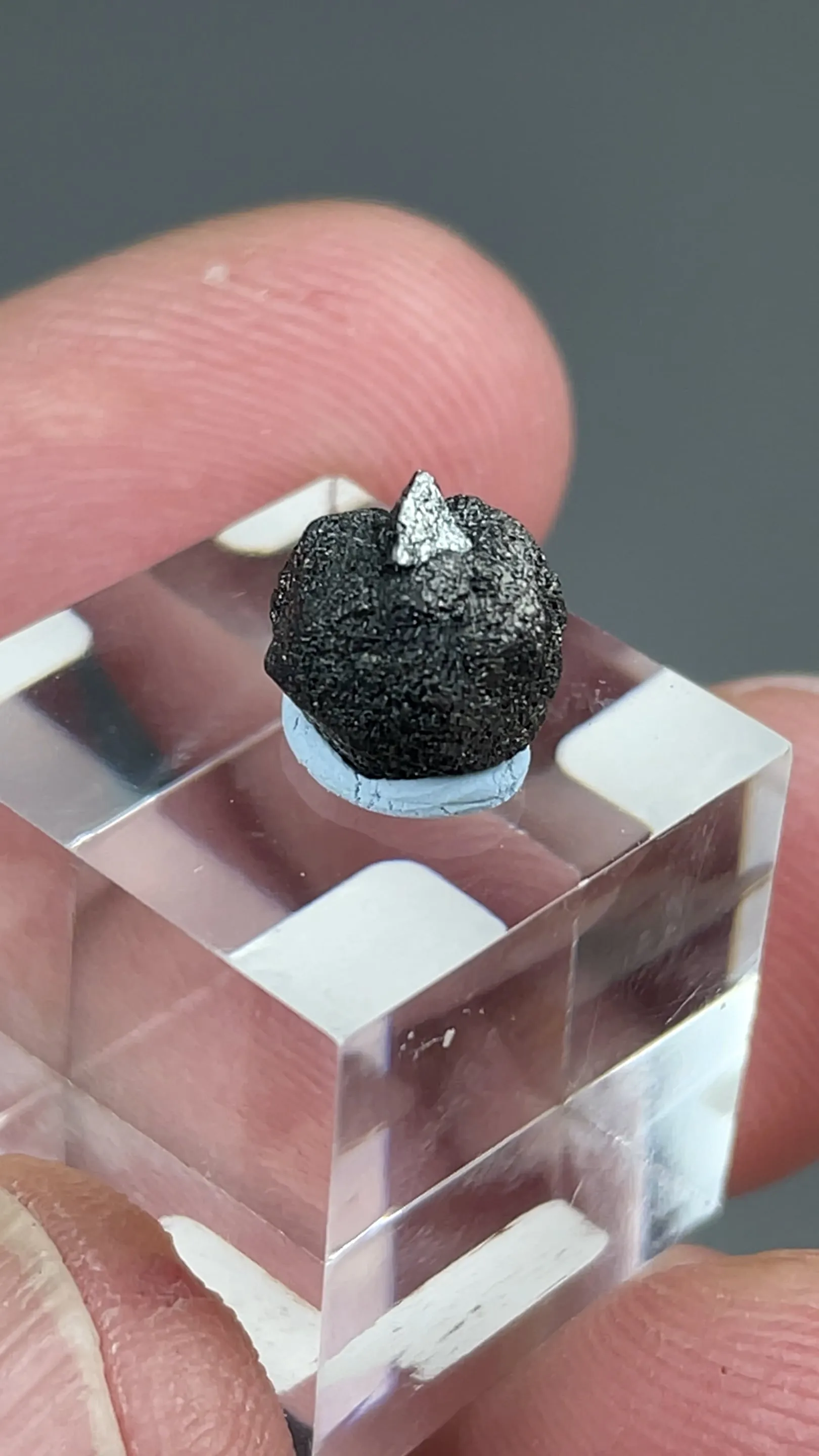 Freibergite on Sphalerite - image 2