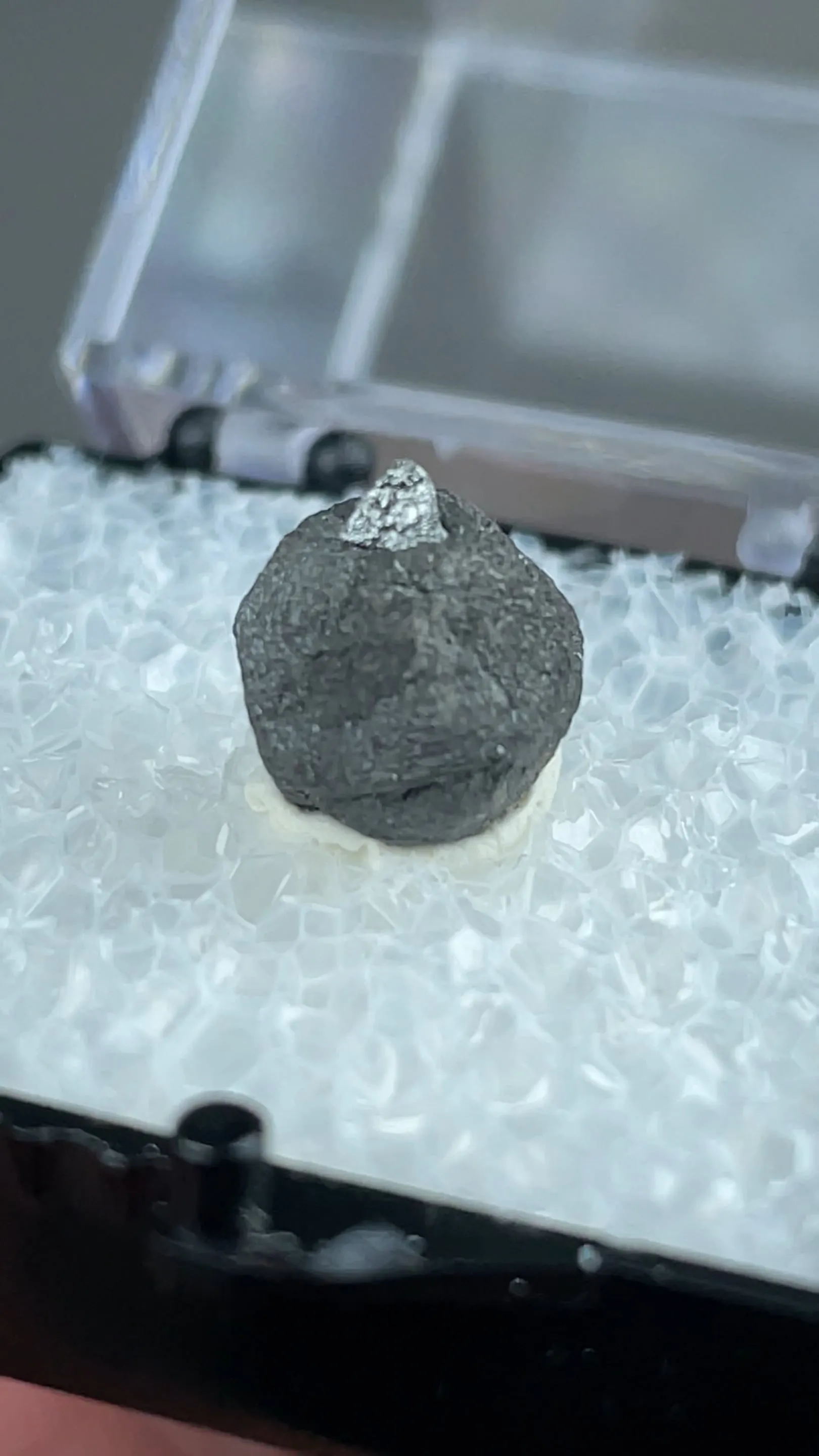 Freibergite on Sphalerite - image 2