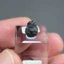 Freibergite on Sphalerite - image 2