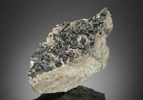 FREIESLEBENITE with Pyrargyrite and Freibergite image